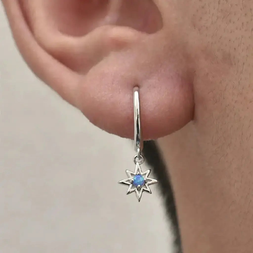 Fashionable earrings for men and women, silver 925 sample, light luxury style