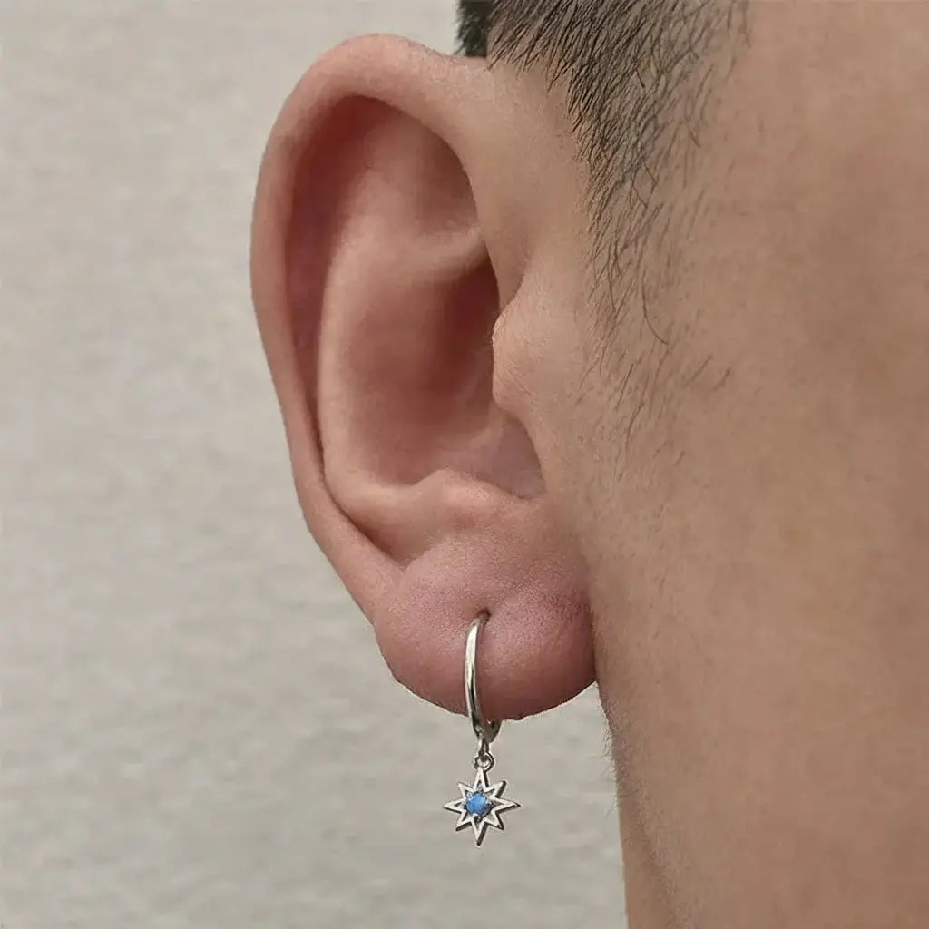 Fashionable earrings for men and women, silver 925 sample, light luxury style