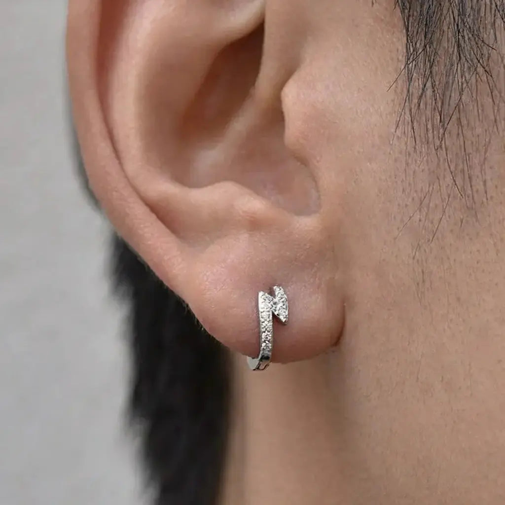 Universal earrings for men and women, fashionable zirconium, silver 925 sample, city style