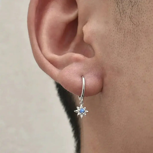 Fashionable earrings for men and women, silver 925 sample, light luxury style