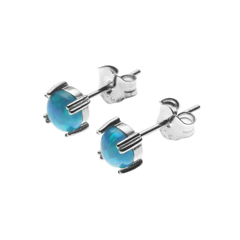 Universal trend design earrings for men and women, silver 925 sample, European style, light luxury style