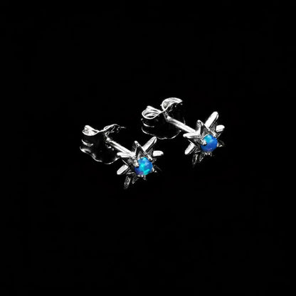 S925 Sterling Silver Octagonal Star Opal Stud Earrings – Unisex Modern Design
