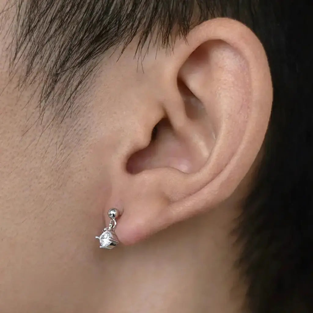 TWO LEAVES 925 Silver Zirconium Solitaire Pendant Stud Earrings, Unisex Elegant Design