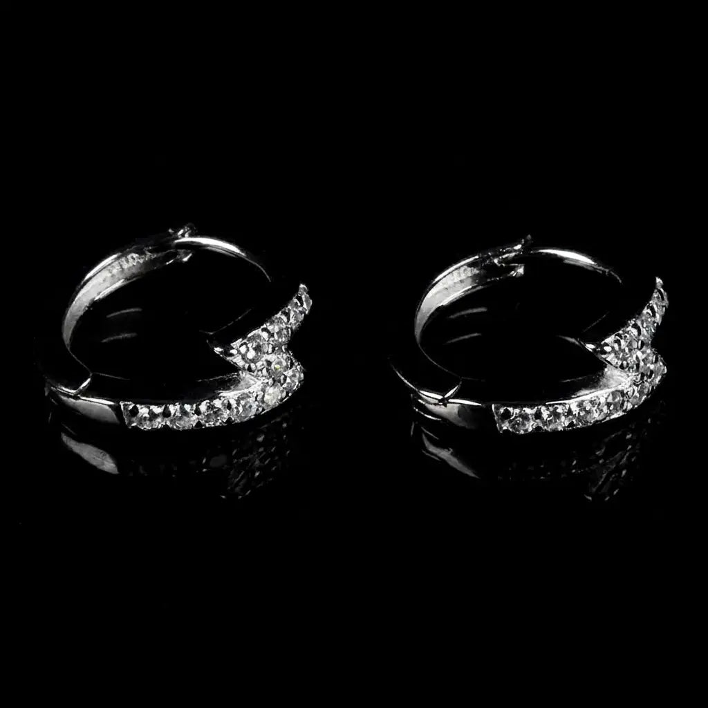 Universal earrings for men and women, fashionable zirconium, silver 925 sample, city style